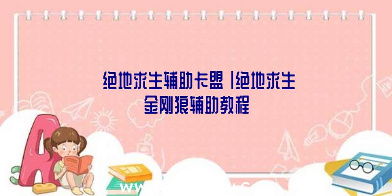 「绝地求生辅助卡盟」|绝地求生金刚狼辅助教程